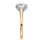 lm-preview|molly-double-claw-prong-solitaire-setting|tt-yellow|round