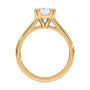 lm-preview|molly-double-claw-prong-solitaire-setting|yellow|elongated-cushion