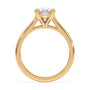 lm-preview|molly-double-claw-prong-solitaire-setting|yellow|oval