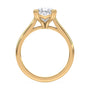 lm-preview|molly-double-claw-prong-solitaire-setting|yellow|pear
