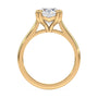 lm-preview|molly-double-claw-prong-solitaire-setting|yellow|round