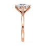 lm-preview|olivia-compass-prong-solitaire-setting|rose|round