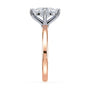 lm-preview|olivia-compass-prong-solitaire-setting|tt-rose|oval