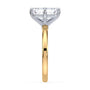 lm-preview|olivia-compass-prong-solitaire-setting|tt-yellow|emerald
