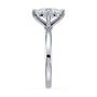 lm-preview|olivia-compass-prong-solitaire-setting|white|oval