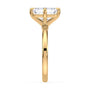 lm-preview|olivia-compass-prong-solitaire-setting|yellow|emerald