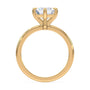 lm-preview|olivia-compass-prong-solitaire-setting|yellow|emerald