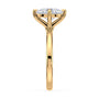 lm-preview|olivia-compass-prong-solitaire-setting|yellow|oval