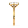 lm-preview|olivia-compass-prong-solitaire-setting|yellow|radiant
