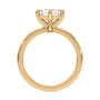 lm-preview|olivia-compass-prong-solitaire-setting|yellow|radiant
