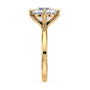 lm-preview|olivia-compass-prong-solitaire-setting|yellow|round