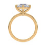lm-preview|olivia-compass-prong-solitaire-setting|yellow|round
