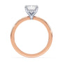lm-preview|olivia-hidden-halo-solitaire-setting|tt-rose|emerald
