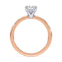 lm-preview|olivia-hidden-halo-solitaire-setting|tt-rose|pear