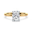 Olivia Hidden Halo Solitaire Setting