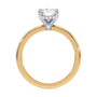 lm-preview|olivia-hidden-halo-solitaire-setting|tt-yellow|elongated-cushion