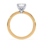lm-preview|olivia-hidden-halo-solitaire-setting|tt-yellow|emerald