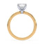 Olivia Hidden Halo Solitaire Setting