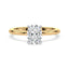 Olivia Hidden Halo Solitaire Setting
