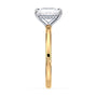 lm-preview|olivia-hidden-halo-solitaire-setting|tt-yellow|radiant