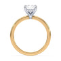 lm-preview|olivia-hidden-halo-solitaire-setting|tt-yellow|radiant