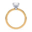 Olivia Hidden Halo Solitaire Setting