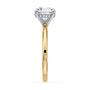 lm-preview|olivia-hidden-halo-solitaire-setting|tt-yellow|round