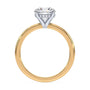 lm-preview|olivia-hidden-halo-solitaire-setting|tt-yellow|round