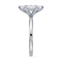 lm-preview|olivia-hidden-halo-solitaire-setting|white|marquise