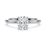lm-preview|olivia-hidden-halo-solitaire-setting|white|oval