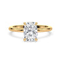 lm-preview|olivia-hidden-halo-solitaire-setting|yellow|elongated-cushion