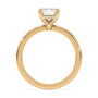 lm-preview|olivia-hidden-halo-solitaire-setting|yellow|emerald