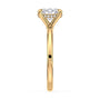 lm-preview|olivia-hidden-halo-solitaire-setting|yellow|oval