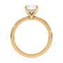 lm-preview|olivia-hidden-halo-solitaire-setting|yellow|radiant