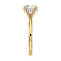 lm-preview|olivia-hidden-halo-solitaire-setting|yellow|round