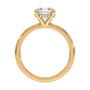 lm-preview|olivia-hidden-halo-solitaire-setting|yellow|round