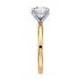 lm-preview|olivia-solitaire-setting|tt-yellow|round