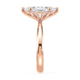 lm-preview|penelope-tulip-solitaire-setting|rose|marquise