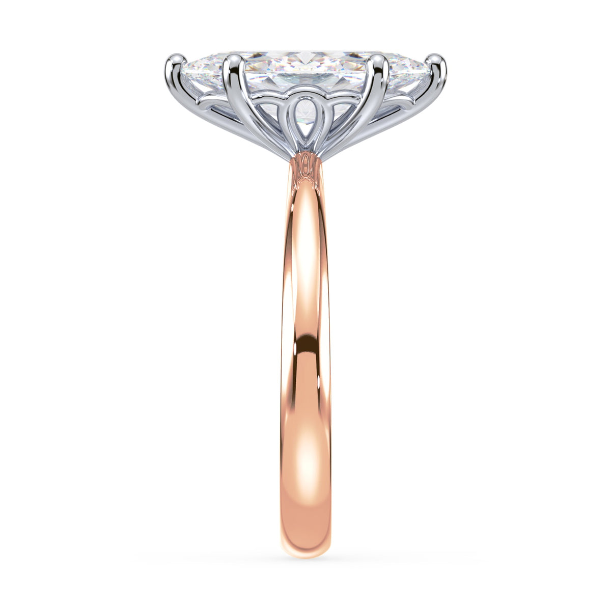 lm-preview|penelope-tulip-solitaire-setting|tt-rose|marquise