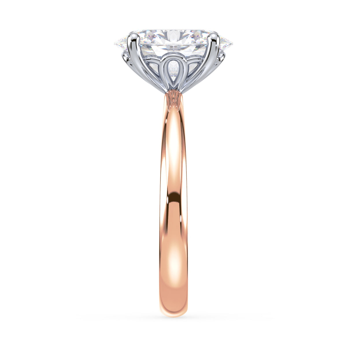 lm-preview|penelope-tulip-solitaire-setting|tt-rose|oval