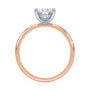 lm-preview|penelope-tulip-solitaire-setting|tt-rose|oval
