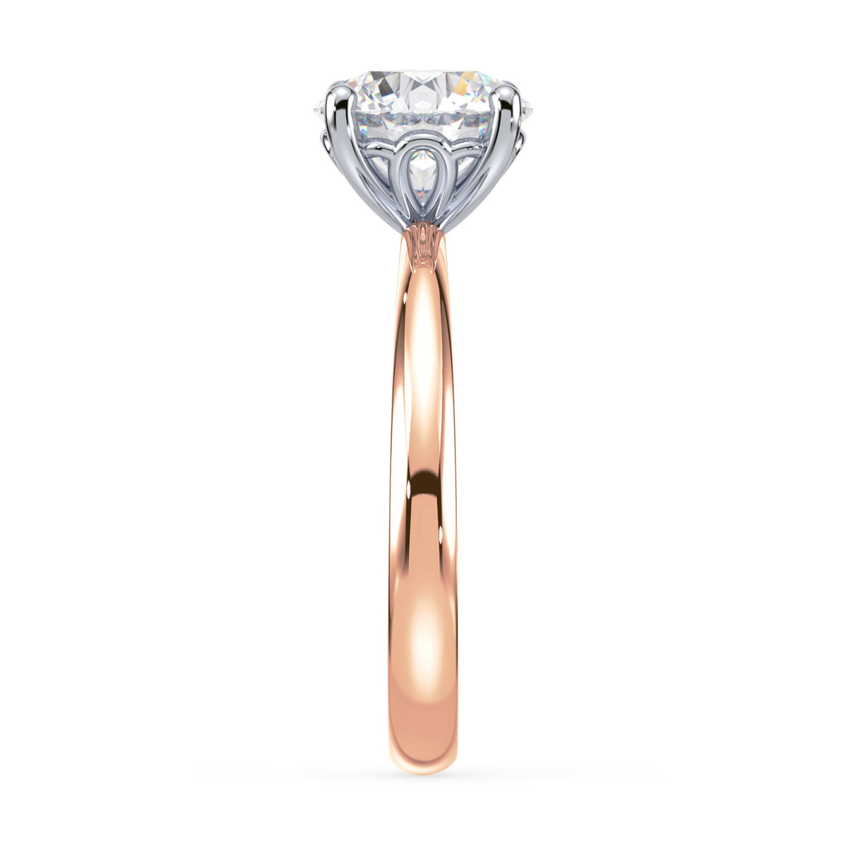 lm-preview|penelope-tulip-solitaire-setting|tt-rose|round