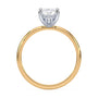 lm-preview|penelope-tulip-solitaire-setting|tt-yellow|elongated-cushion