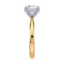 lm-preview|penelope-tulip-solitaire-setting|tt-yellow|round