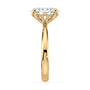 lm-preview|penelope-tulip-solitaire-setting|yellow|oval