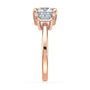 lm-preview|phoebe-trapezoid-three-stone-setting|rose|round