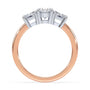 lm-preview|phoebe-trapezoid-three-stone-setting|tt-rose|oval
