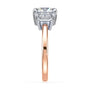 lm-preview|phoebe-trapezoid-three-stone-setting|tt-rose|round