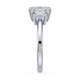 lm-preview|phoebe-trapezoid-three-stone-setting|white|oval