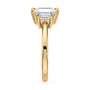 lm-preview|phoebe-trapezoid-three-stone-setting|yellow|radiant